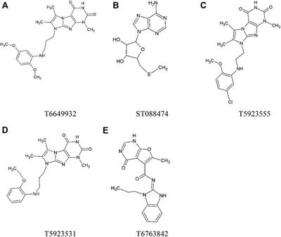 Identification of Potent and Selective JAK1 Lead Compounds Through Ligand-Based Drug Design Approaches